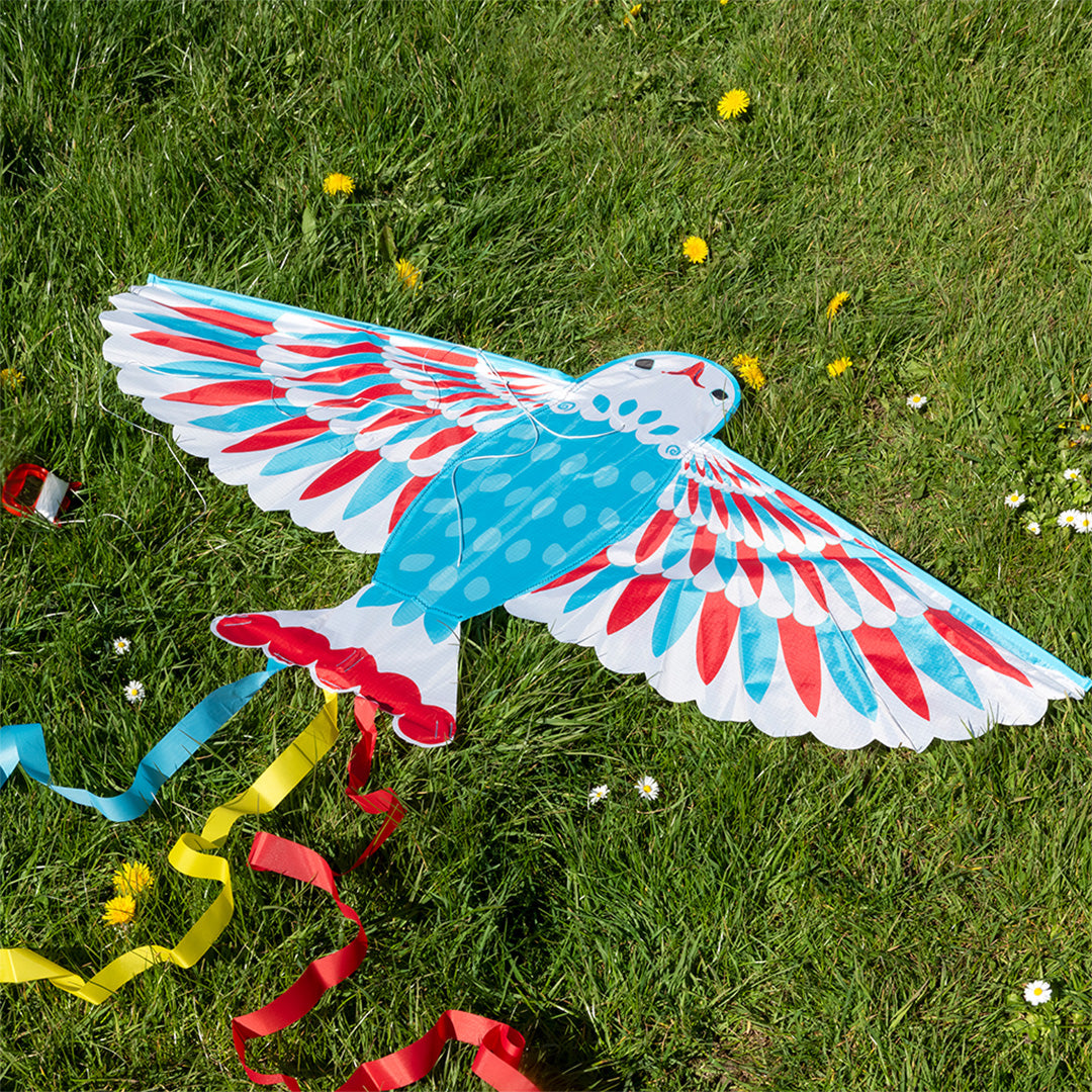 Vogelvormige vlieger in blauw, rood en wit liggend op groen gras met gele bloemen.