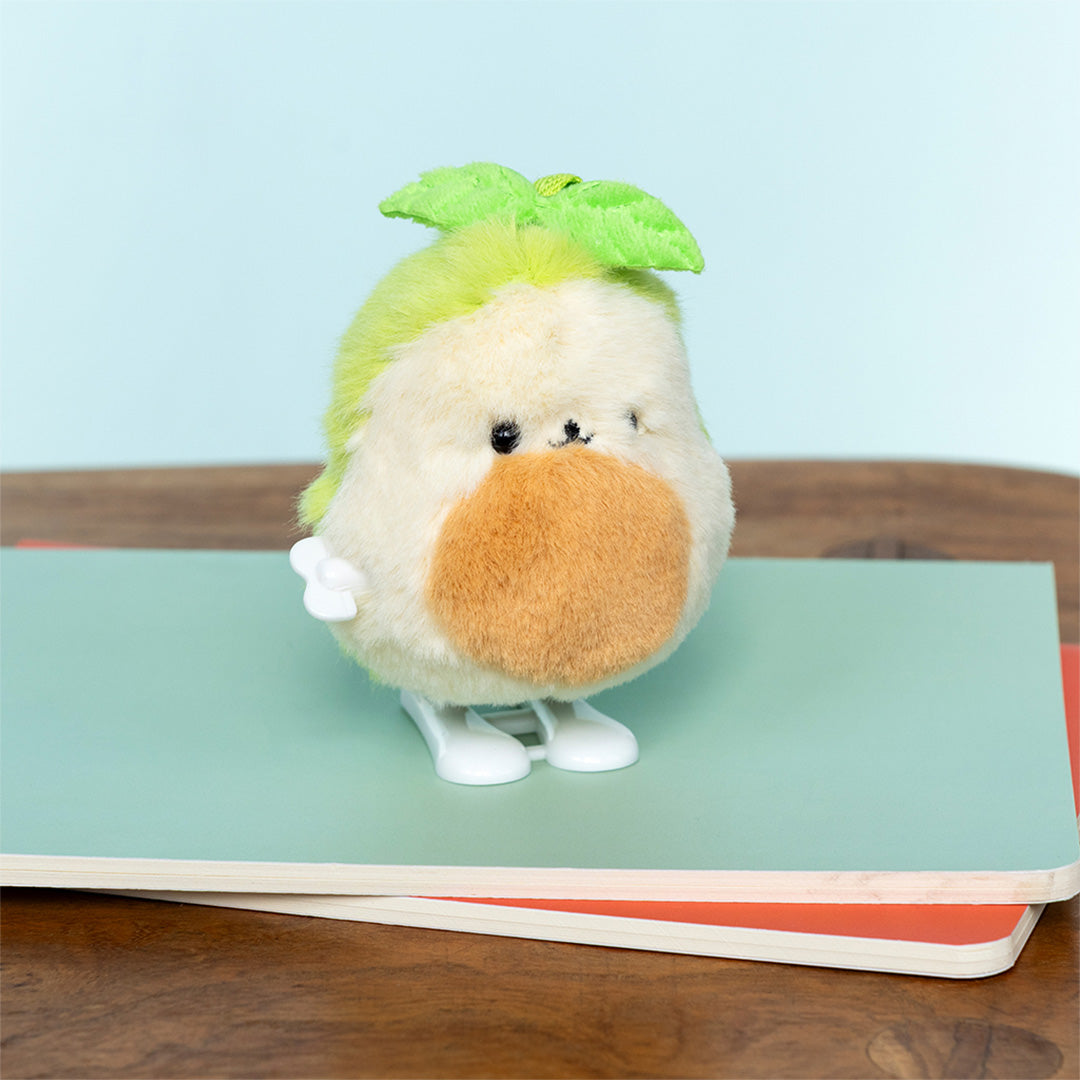 Het Rex London avocado opwindspeeltje staat op twee notitieboekjes op een houten tafel.