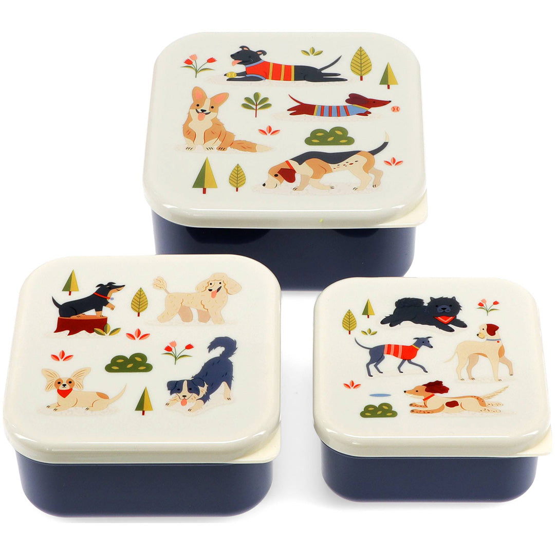 Drie Rex London snackdoosjes met blauwe onderkant en deksels met illustraties van verschillende hondenrassen.