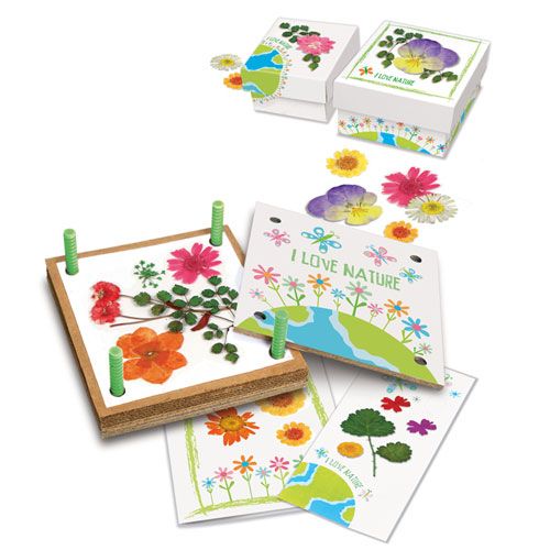 De 4M bloemenpers met gedroogde bloemen en voorbeelden van kaarten en doosjes versierd met bloemen.