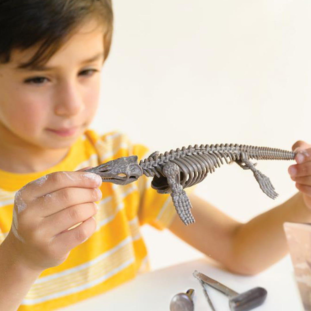 Een jongen houdt het complete mosasaurus skelet van de 4M opgraafset vast.