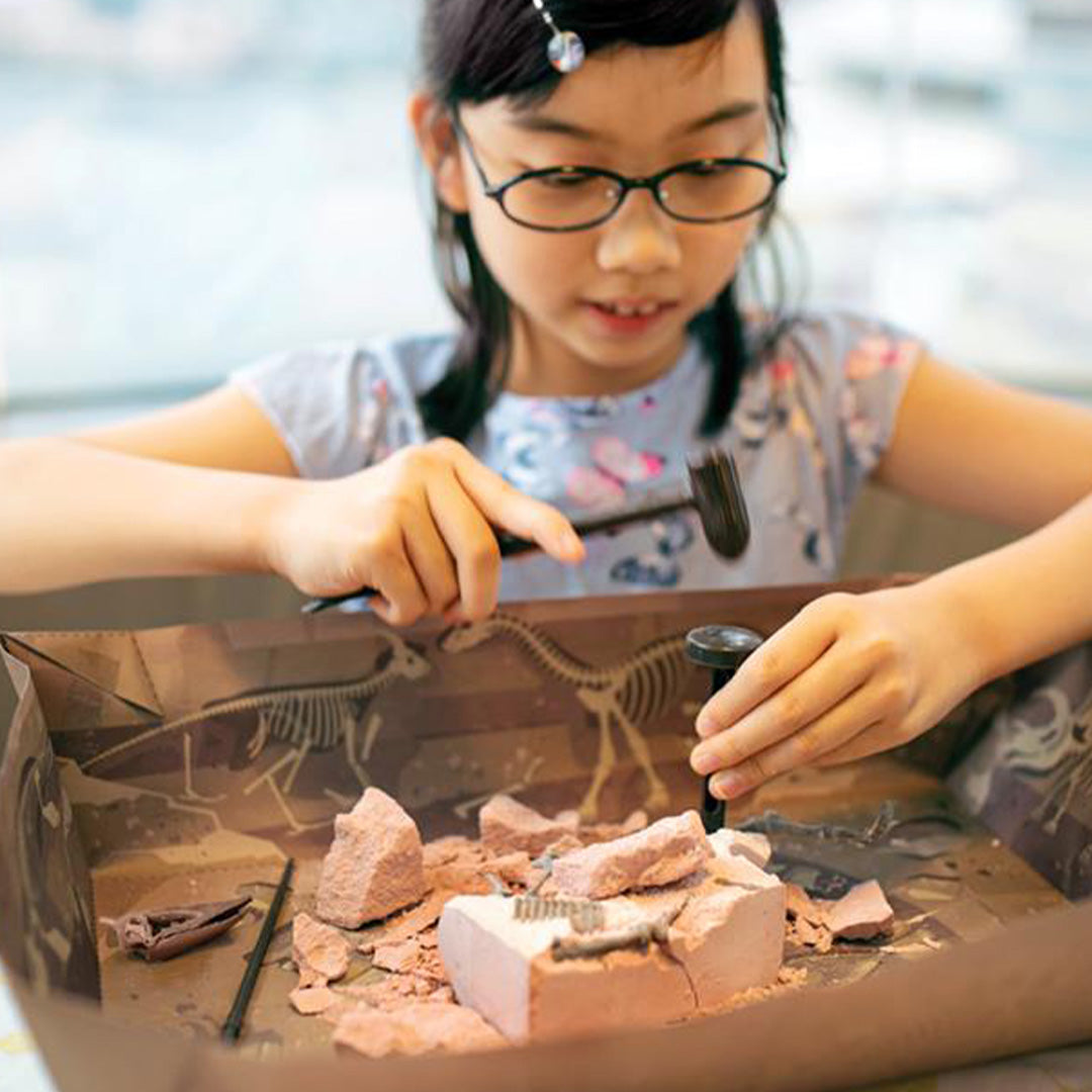 Een meisje met bril gebruikt een hamer en beitel om een pteranodon skelet op te graven uit het roze materiaal.