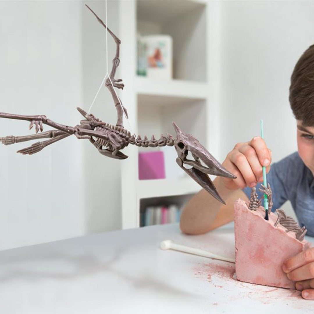 Een jongen borstelt voorzichtig roze graafmateriaal weg van een pteranodon skelet, terwijl een ander skelet hangt.