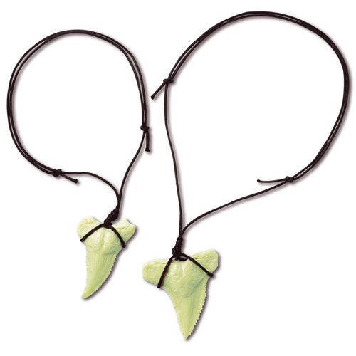 Twee lichtgroene haaientandfossielen, elk met een zwart koordje als ketting.
