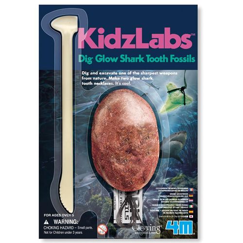 De verpakking van de 4M KidzLabs opgraafset voor lichtgevende haaientandfossielen.