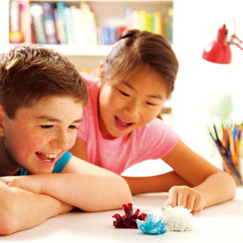 Twee kinderen kijken enthousiast naar de zelfgekweekte rode, blauwe en witte kristallen van de 4M Crystal Growing set.