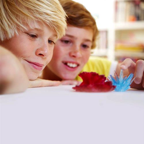Twee jongens bekijken van dichtbij een rode en een blauwe kristal van de 4M Crystal Growing wetenschapsset.