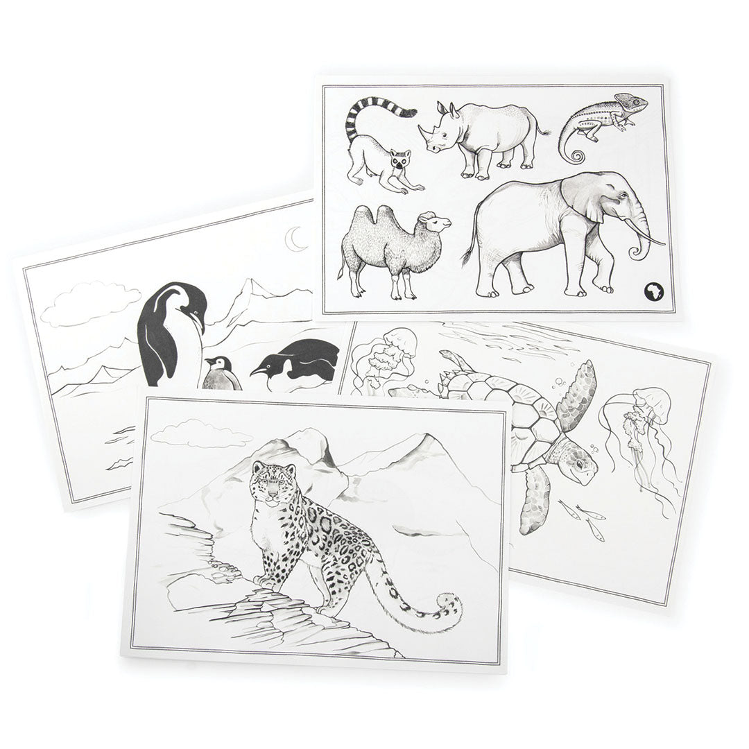 Meerdere tekensjablonen met verschillende dieren, waaronder een pinguïn, luipaard, neushoorn en olifant.