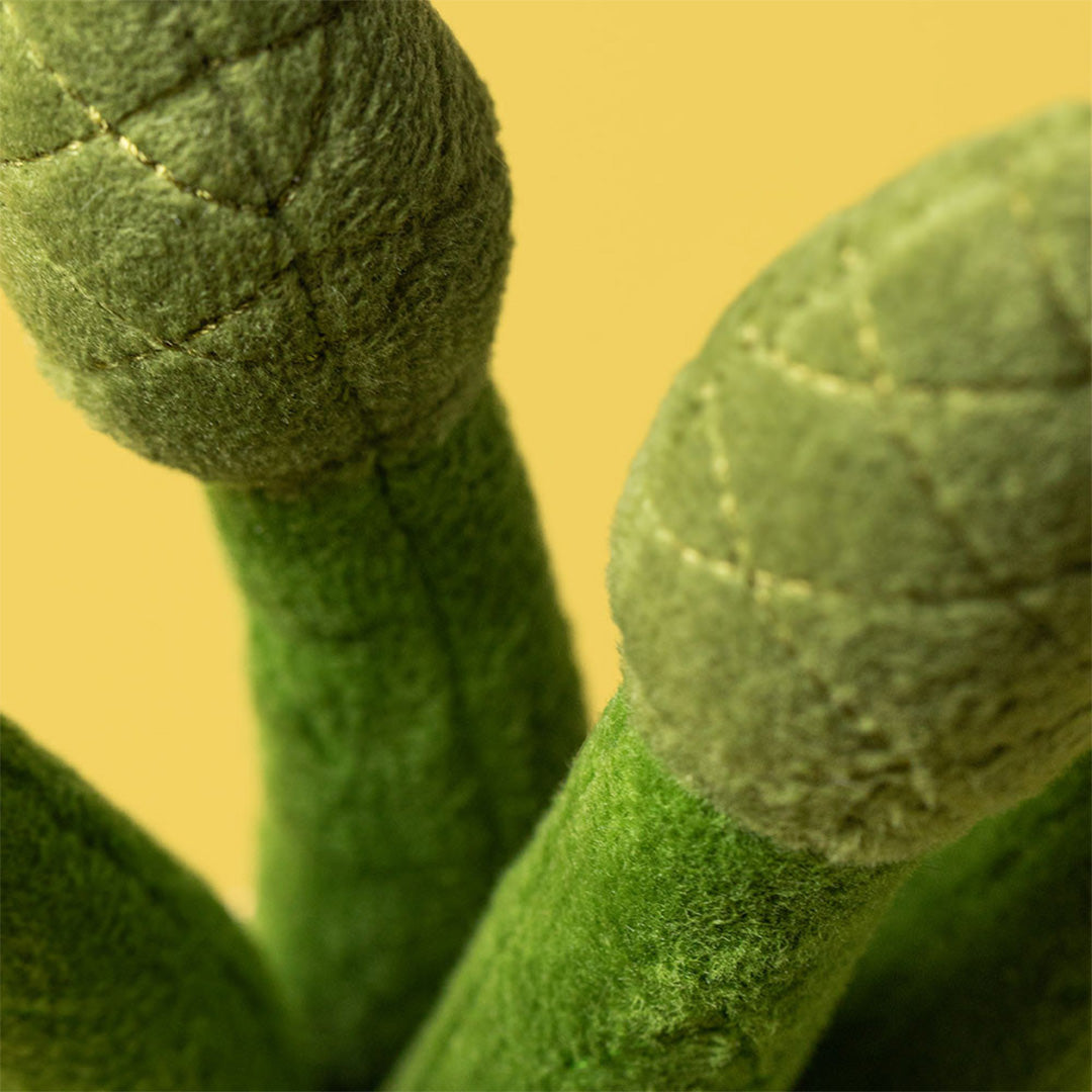 Detailopname van de groene, gestikte toppen van de asparagus knuffelplant tegen een gele achtergrond.