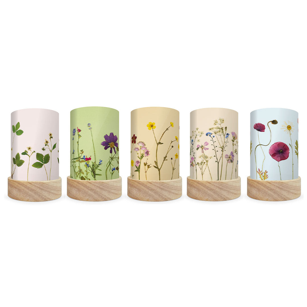 Vijf Toverlux lichtkaarten met verschillende droogbloemenpatronen op houten voetjes, naast elkaar gepresenteerd.
