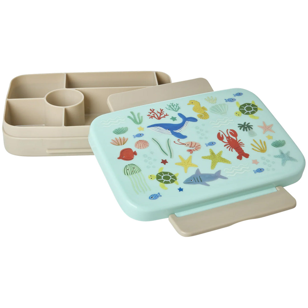 Een open bento broodtrommel met zeedieren op de deksel en de beige interne vakken zichtbaar.