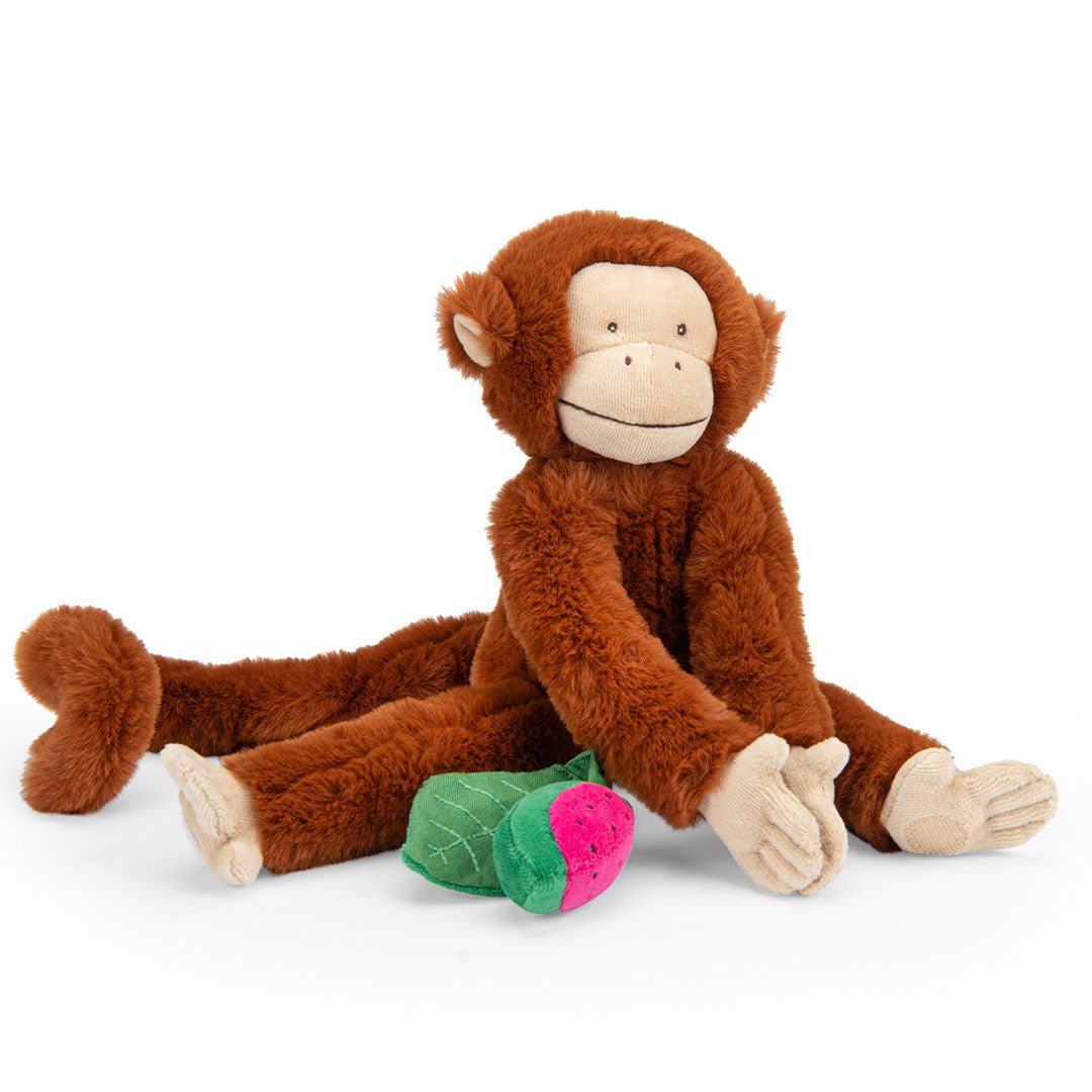 Moulin Roty activiteitenhanger aap Mochica zit met een watermeloen op een witte achtergrond.