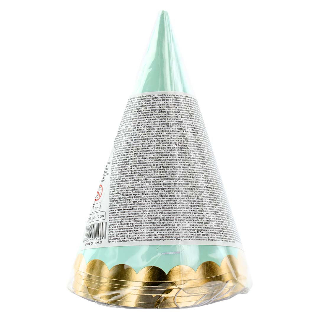 De achterkant van een Partydeco feesthoedje in verpakking met productinformatie.