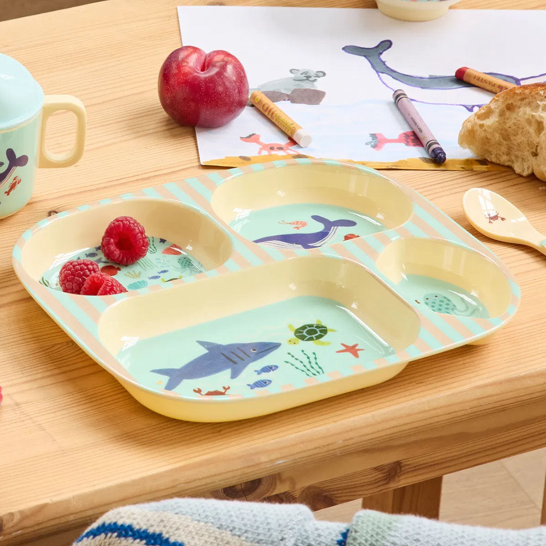 rice vakjesbord met zeedieren en frambozen op een houten tafel, met tekeningen en fruit op de achtergrond