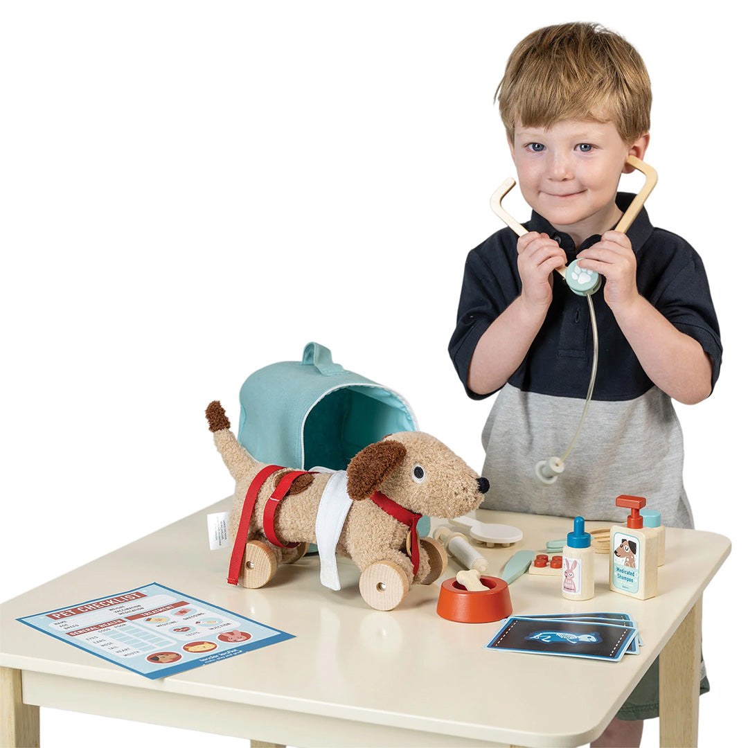 Een jongen speelt met de Tender Leaf Toys dierenarts speelset en houdt een houten stethoscoop vast, naast een pluchen hond.