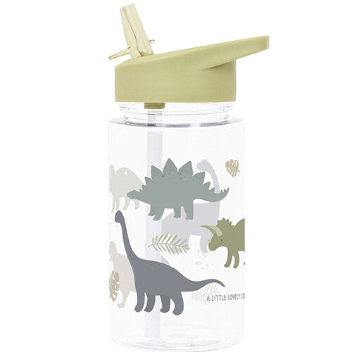 A little lovely company drinkfles met rietje met dinosaurusprint.
