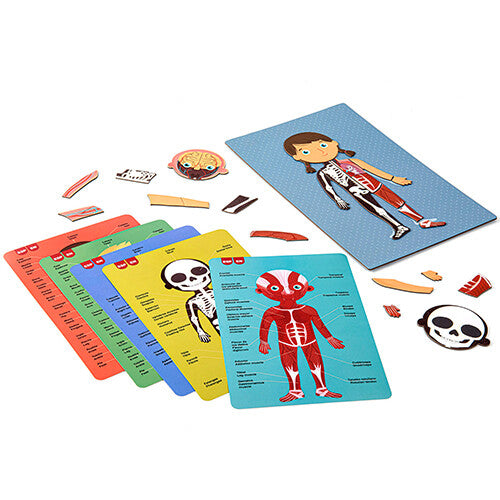 Het APLI Kids magneetspel menselijk lichaam met een magnetisch bord, losse lichaamsdelen en voorbeeldkaarten.