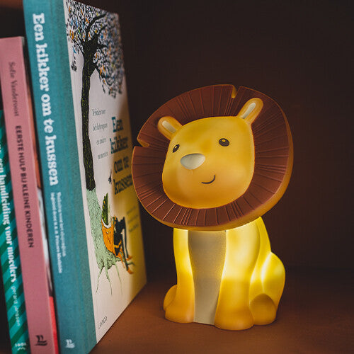 Een brandend atelier pierre leeuw nachtlampje staat tussen boeken op een plank.