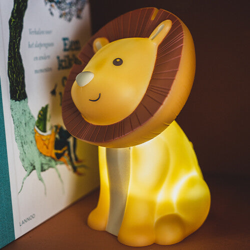Een brandend atelier pierre leeuw nachtlampje staat schuin naast boeken op een plank.