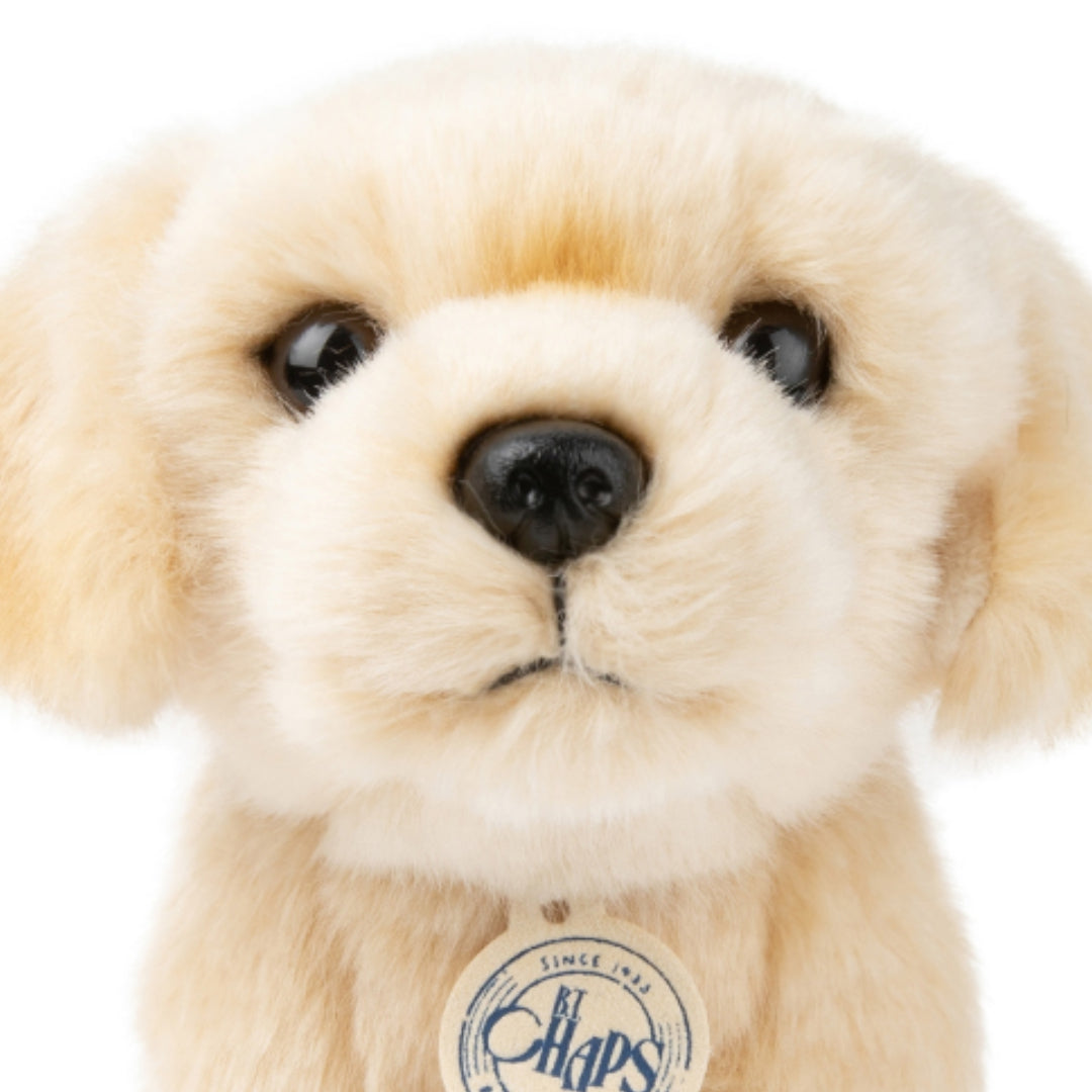 Detailopname van de kop van de B.T. Chaps pluchen labrador puppy knuffelhond, recht van voren.