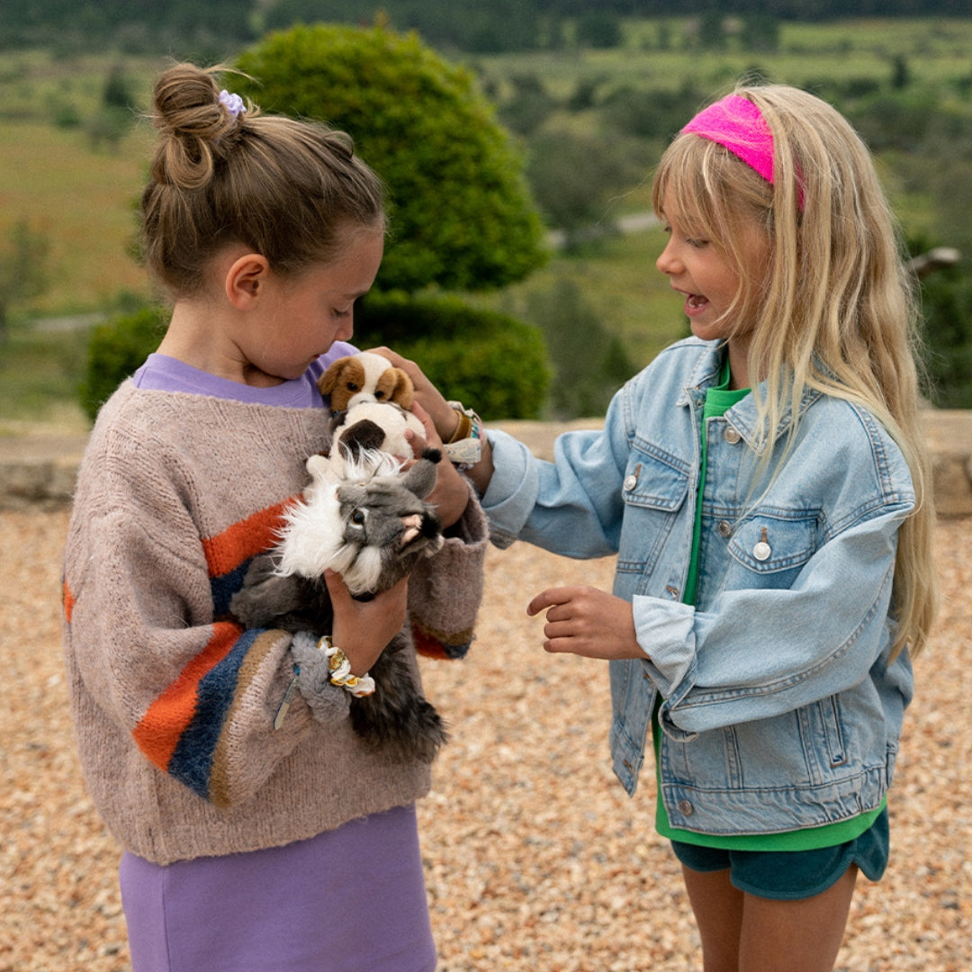 Twee meisjes spelen buiten met de b.t. chaps pluchen knuffelpoes Nancy de Noorse boskat en een kleine knuffelhond.
