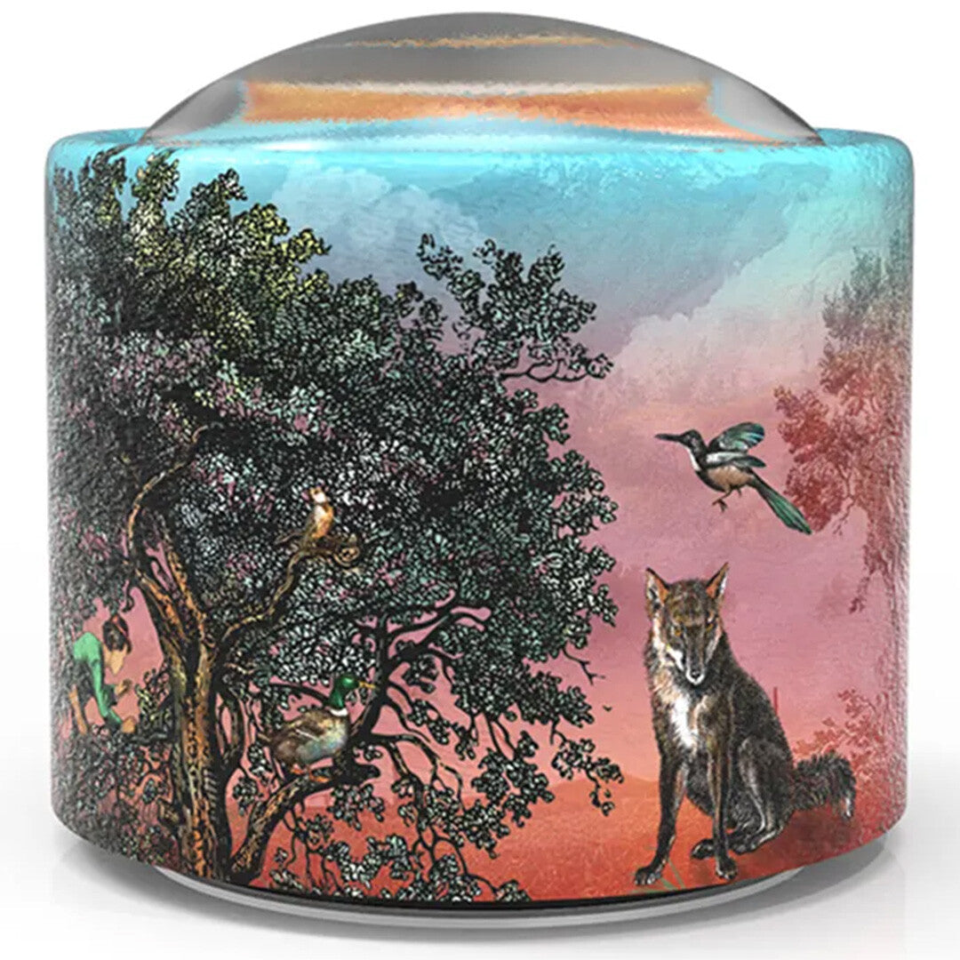 Belle Lurette muziekdoosje met een illustratie van een boslandschap met een wolf, vogels en een kind.