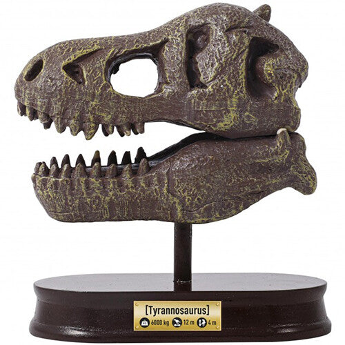 De opgegraven T-Rex schedel van de Buki opgraafkit, gemonteerd op een bruine displaystandaard met naamplaatje.