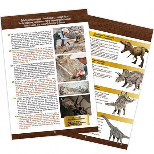 Twee opengevouwen pagina's van het instructieboekje van de Buki opgraafkit, met teksten, dinosaurusafbeeldingen en foto's van opgravingen.