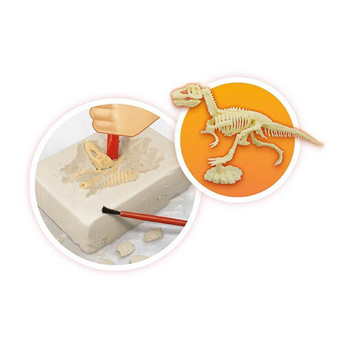 Detail van een dinosaurus fossiel dat wordt opgegraven uit een blok en een compleet dinosaurus skelet.
