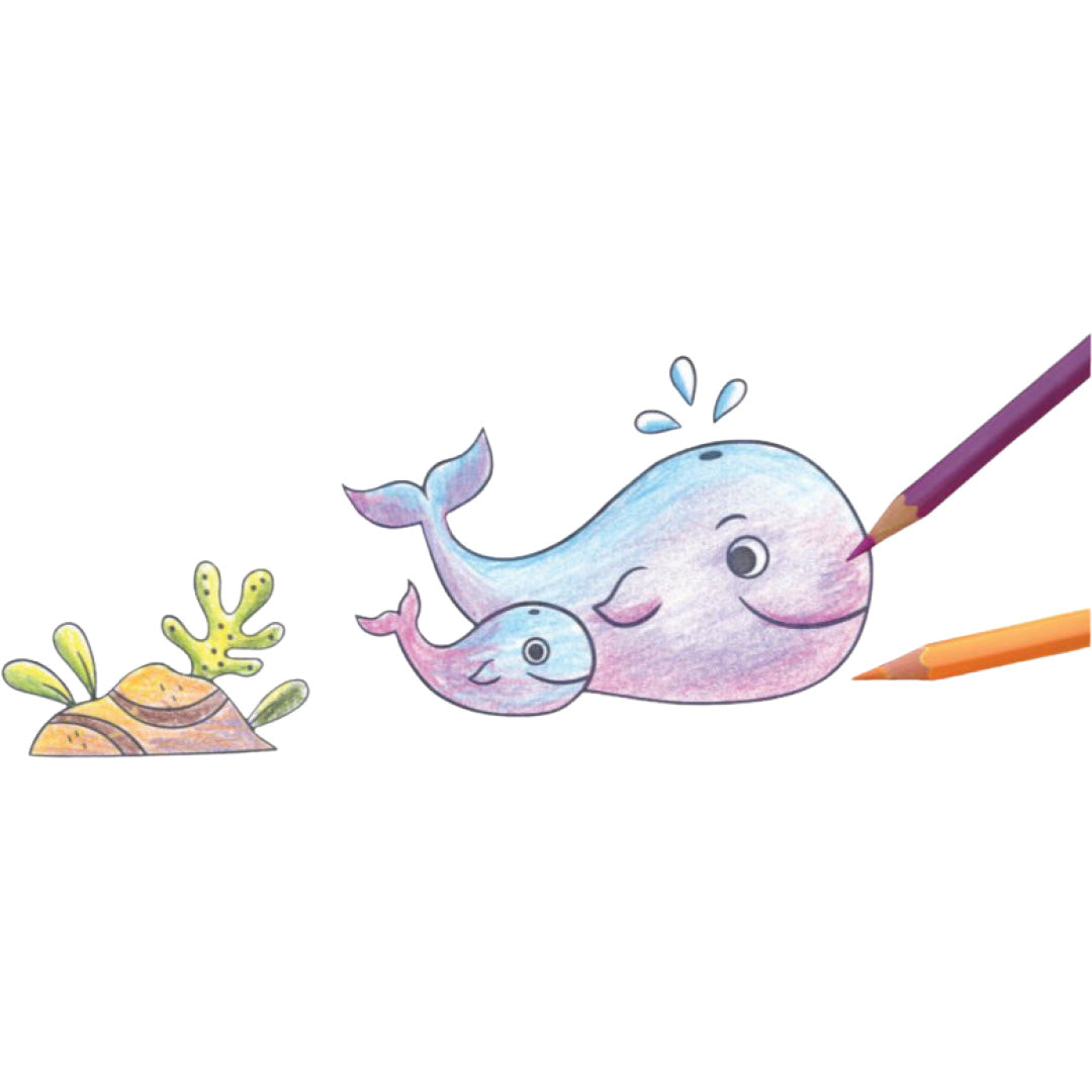 Illustratie van een gekleurde walvis met babywalvis en koraal, met twee kleurpotloden ernaast.
