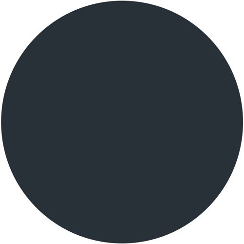 Een effen zwarte cirkel die de kleur van de verf toont.