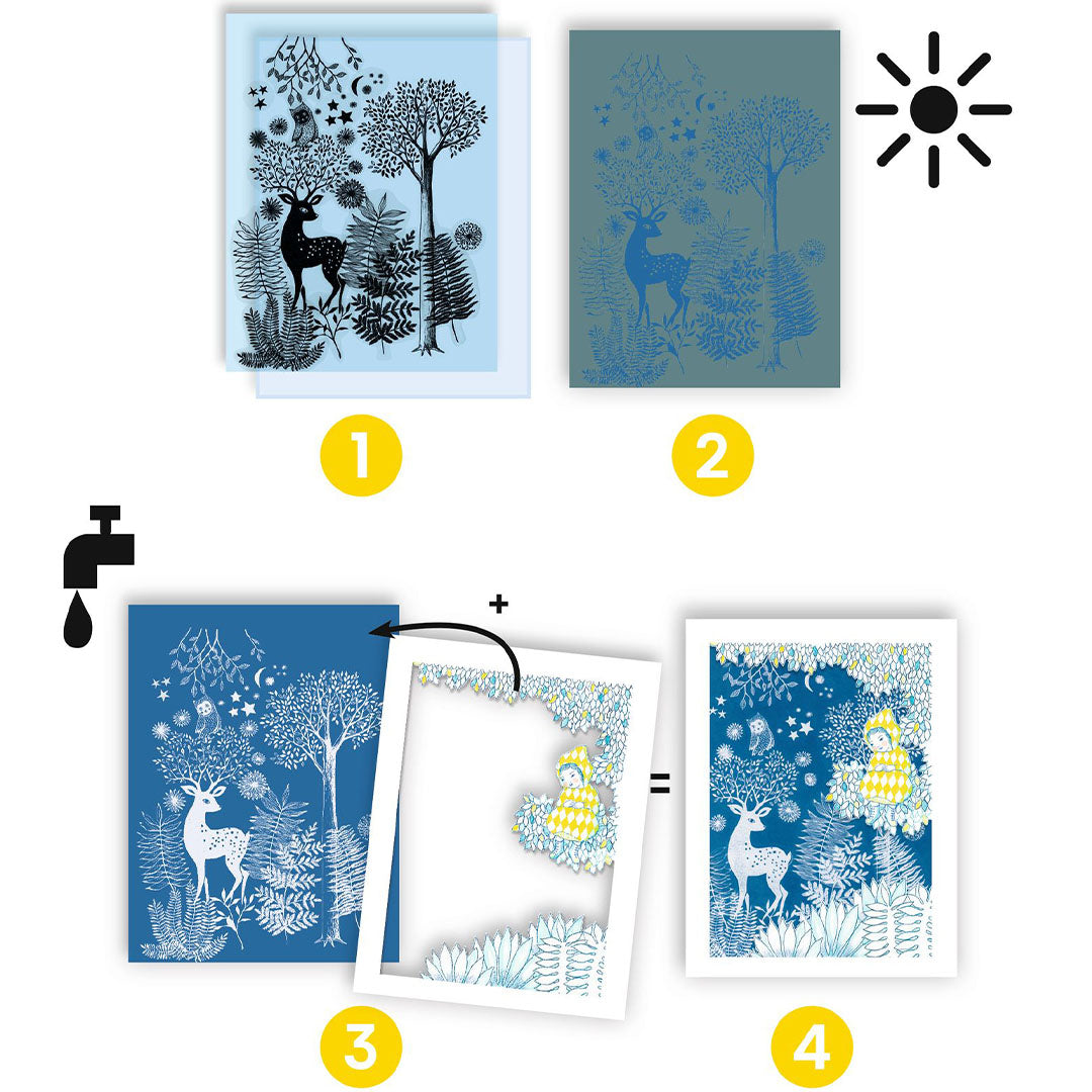 Infographic met de vier stappen van het Djeco cyanotype proces, van belichting tot afspoelen.