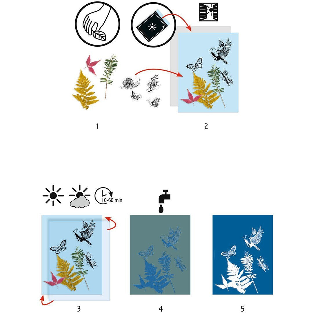 Infographic die de stappen toont voor het maken van een blauwdruk met de knutselset.