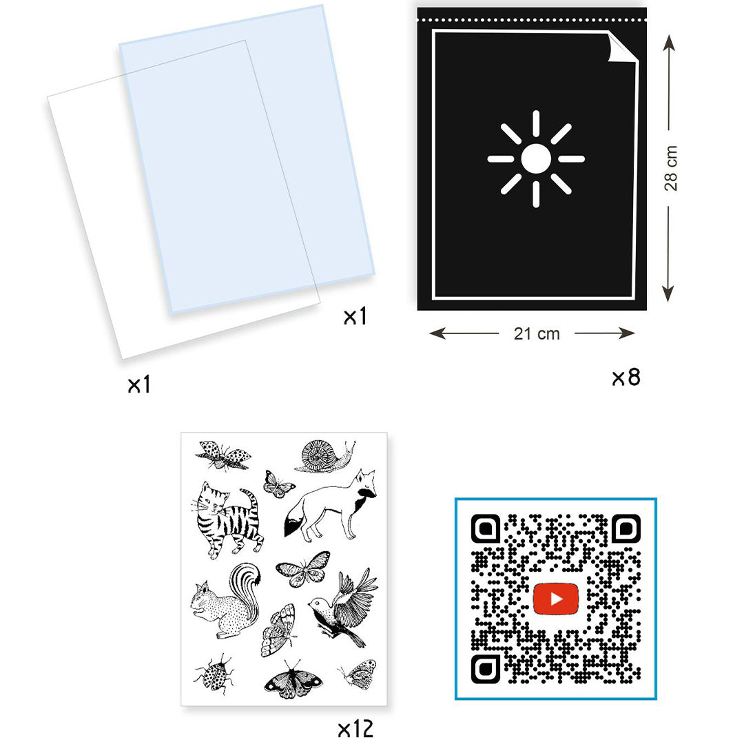 Infographic met de inhoud van de knutselset, waaronder lichtgevoelig papier, transparante vellen en stencils met dieren en insecten.