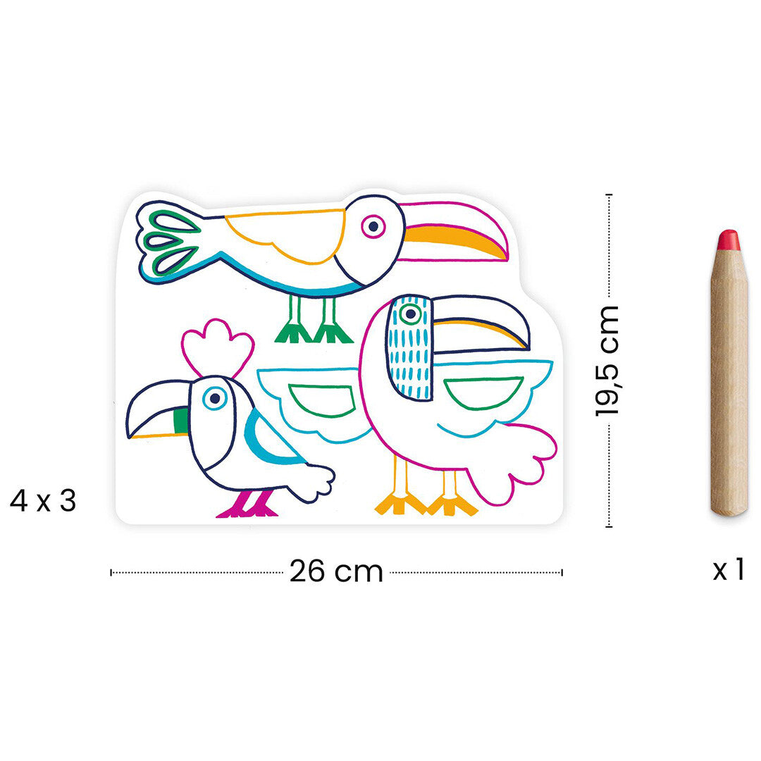 Djeco magische kleurplaten met oningekleurde vogels en een rood potlood, inclusief afmetingen.