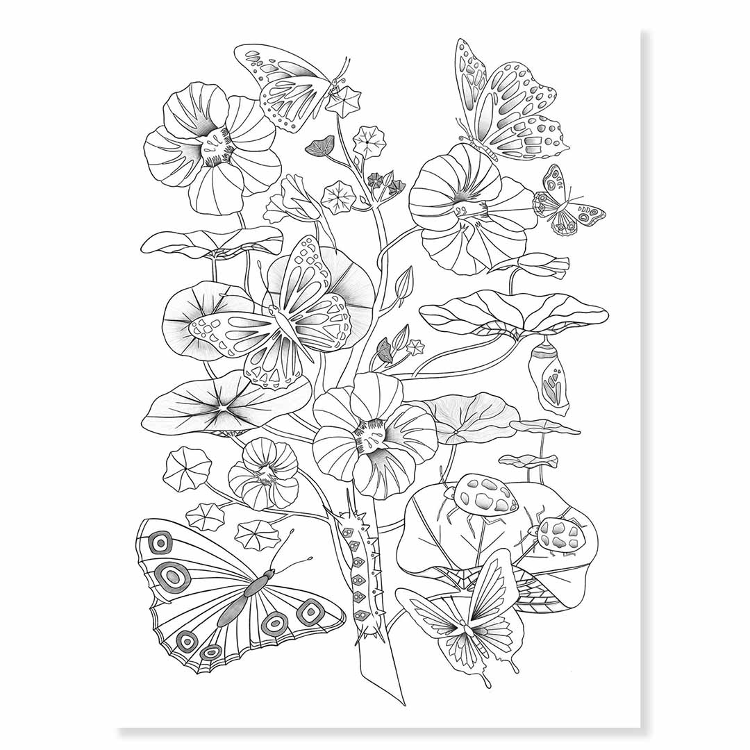 Een zwart-wit kleurplaat van vlinders, bloemen, lieveheersbeestjes en een rups.