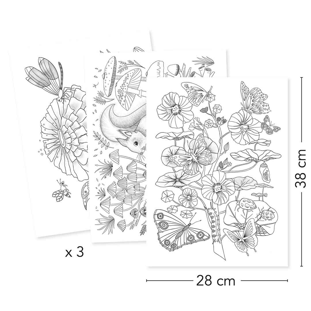 Drie Djeco kleurplaten met natuurthema, waaronder vlinders, bloemen en een eekhoorn, met afmetingen van 38 bij 28 cm.