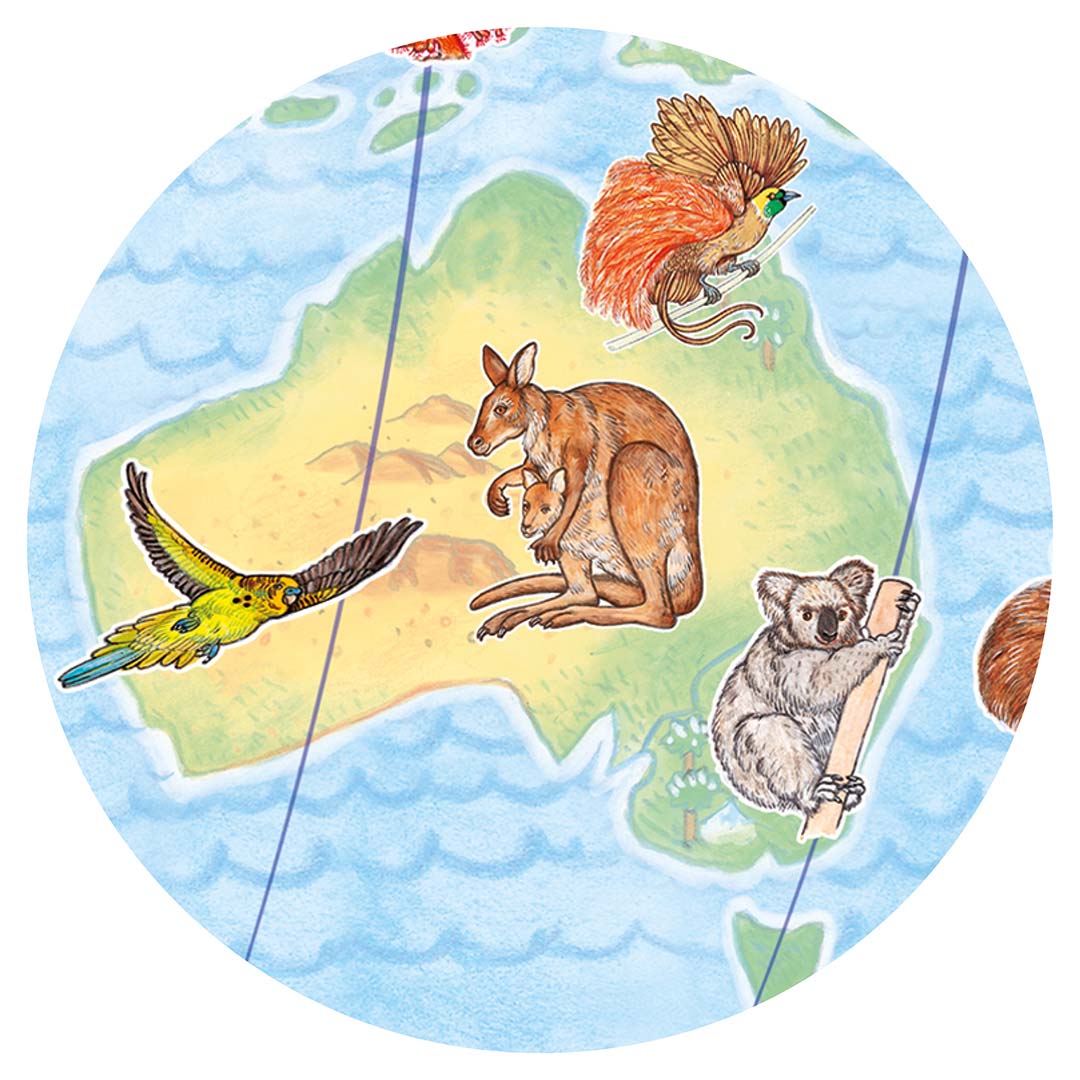 Detail van de legpuzzel met Australische dieren zoals een kangoeroe, koala en papegaai.