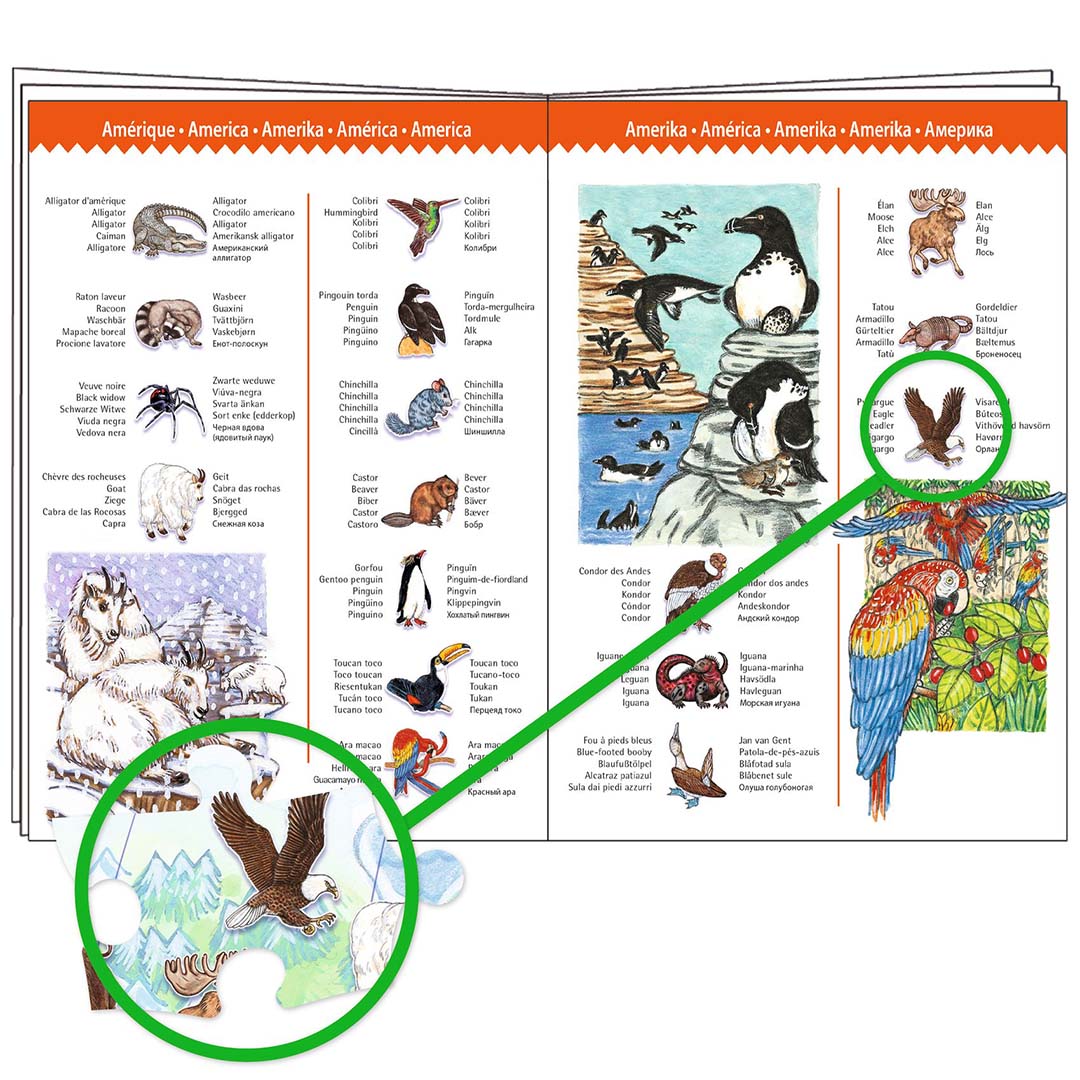 Detail van het bijbehorende boekje met illustraties en namen van dieren uit Amerika.