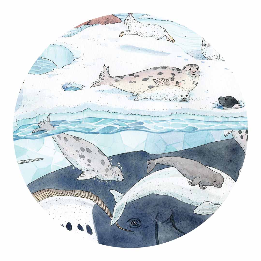 Een detail van de Djeco legpuzzel met zeehonden, een narwal en een walvis in de poolwereld.