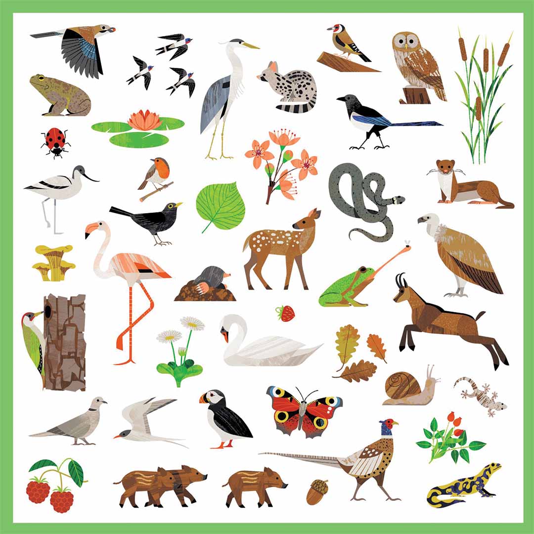 Gedetailleerd overzicht van een vel met Djeco dieren- en natuurstickers.