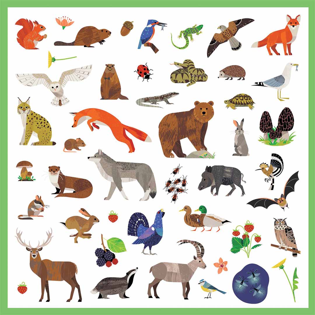 Gedetailleerd overzicht van een ander vel met Djeco dieren- en natuurstickers.