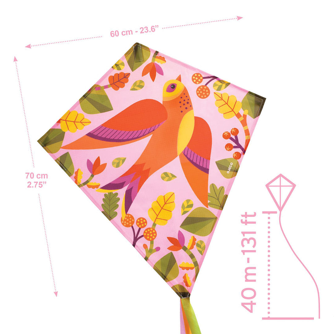 Infographic van de Djeco roze vlieger met vogel- en bladerenpatroon, inclusief afmetingen en vlieglijn.