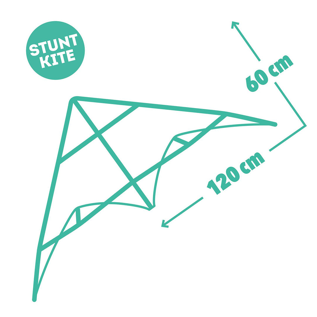Infographic met de afmetingen van de stuntvlieger: 120 centimeter breed en 60 centimeter hoog.