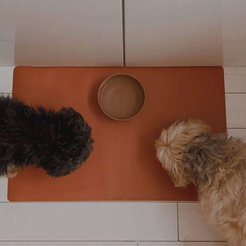 Twee honden eten uit een voerbak op de eeveve bureaumat.