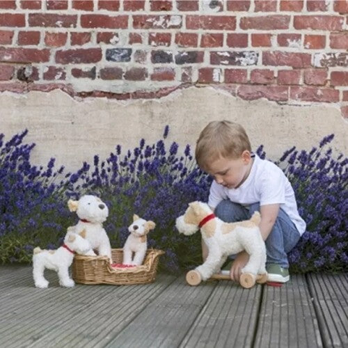 Een jongen speelt buiten met een Egmont Toys trekdier knuffelhond en andere knuffelhonden in een mand.