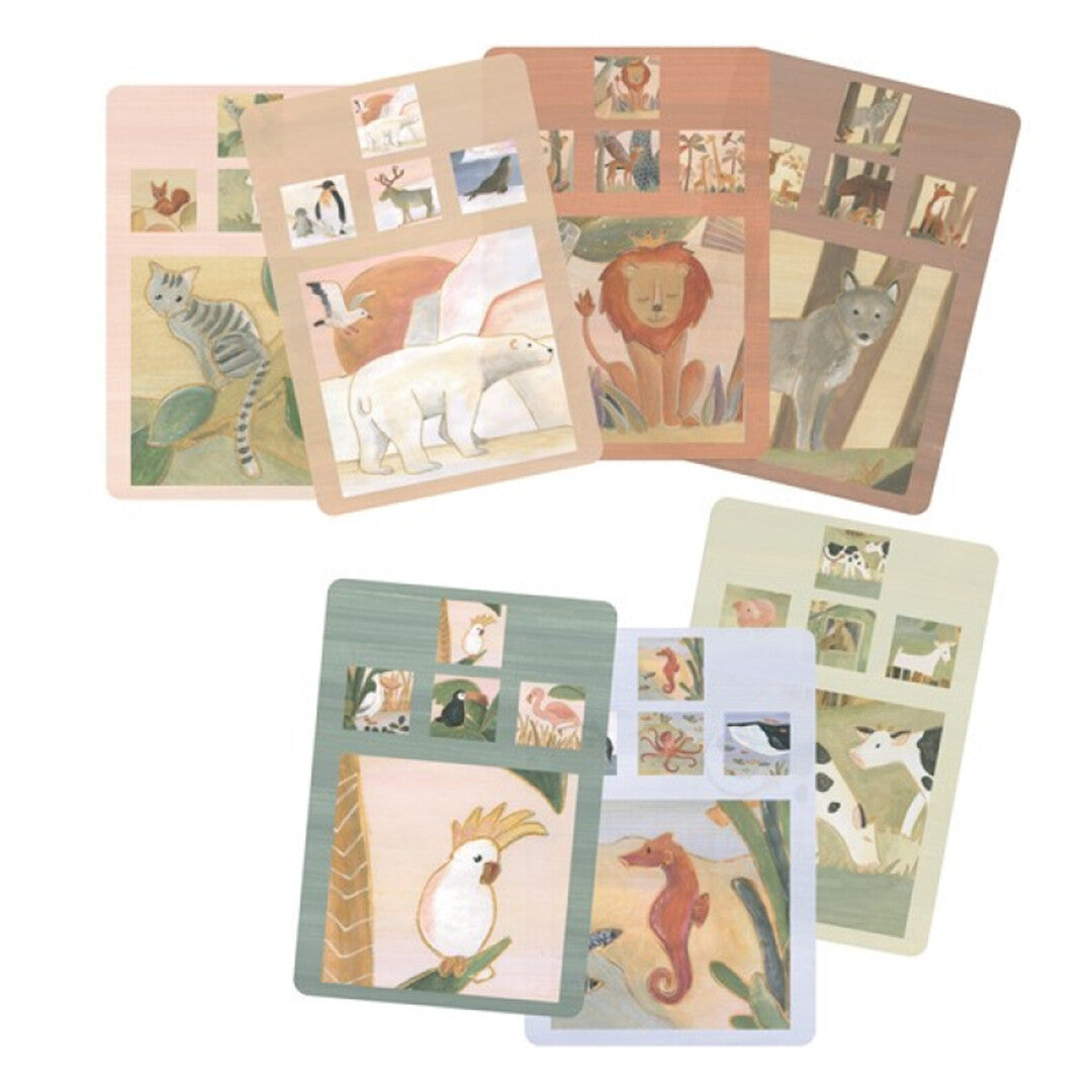 Collectie kwartetkaarten met diverse dierenillustraties, waaronder een kat, ijsbeer en zeepaardje.