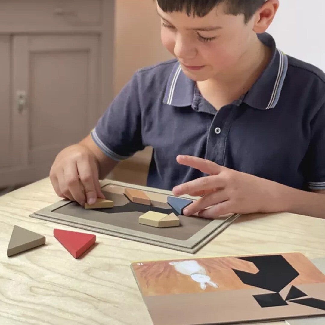 Een jongen legt een gekleurd stukje van het tangram spel op een puzzelkaart met een konijn.