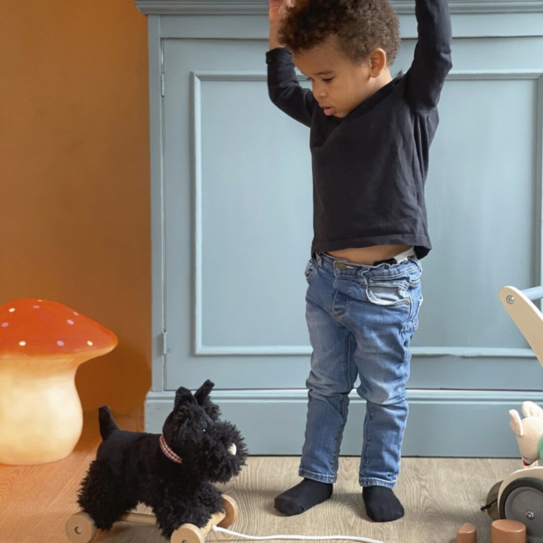 Een jong kind speelt met de Egmont Toys trekfiguur hond Walter op houten wielen.