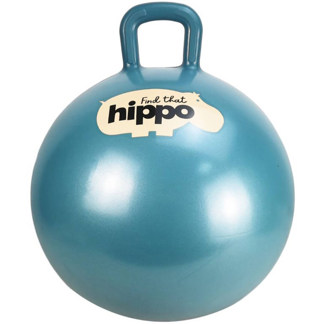 Find that hippo skippybal in donkerblauw met handvat en hippo-logo.